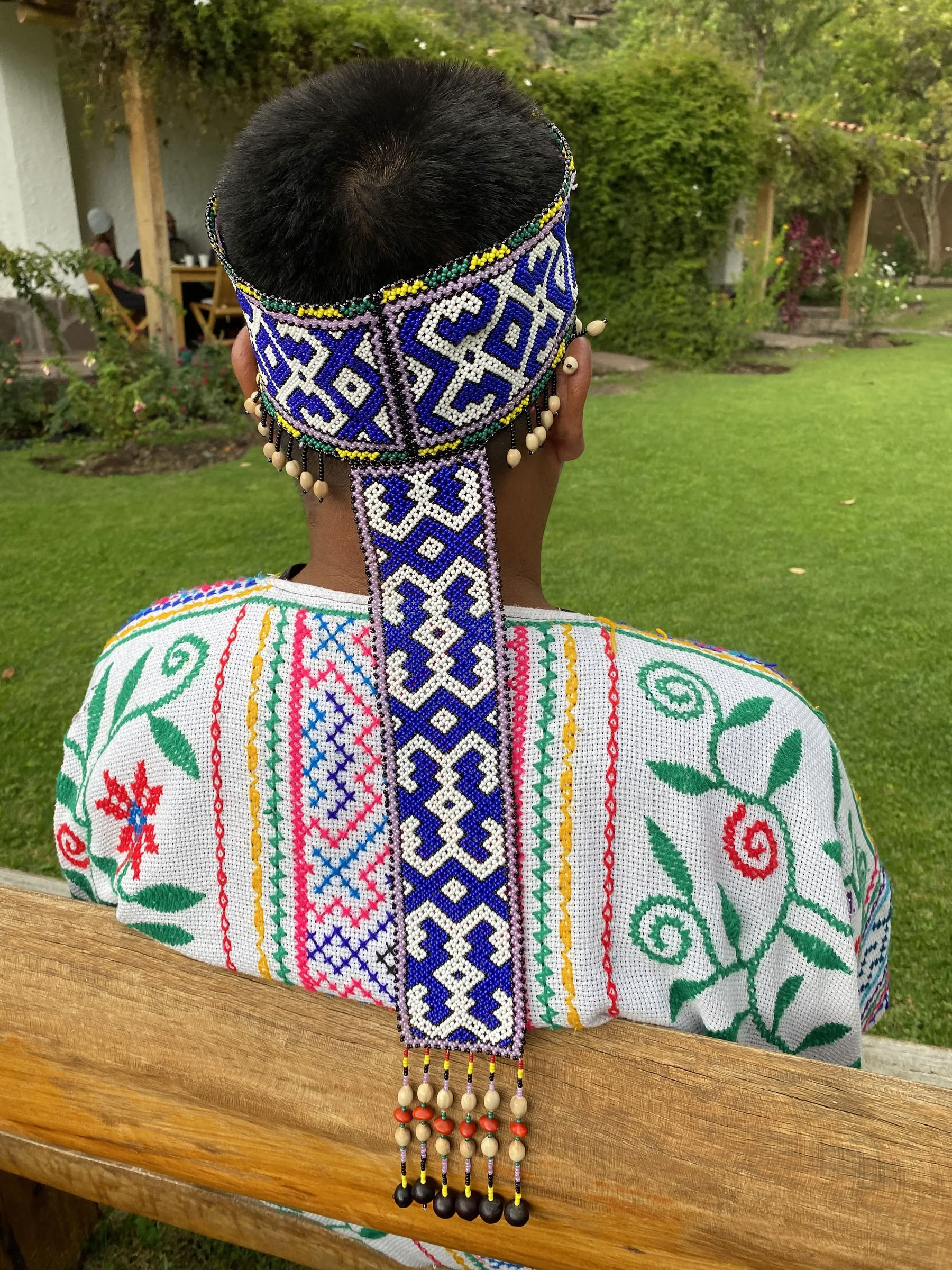 Non Beginner Ayahuasca Retreat