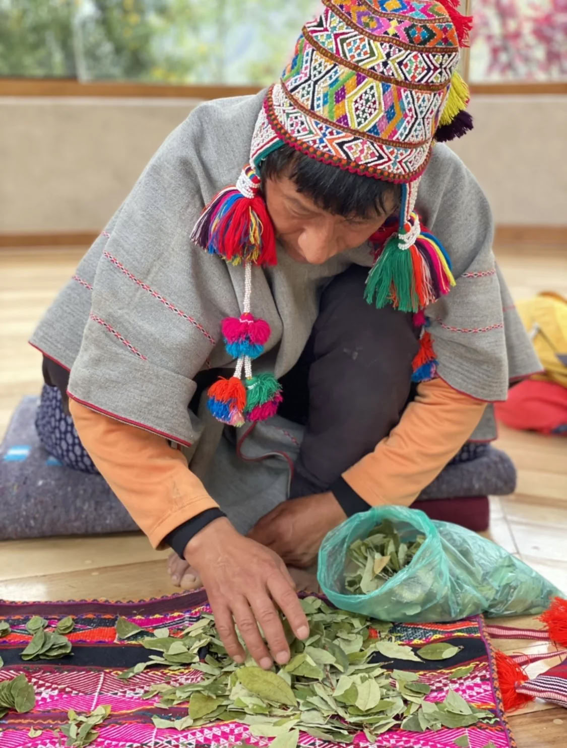 Non Beginner Ayahuasca Retreat