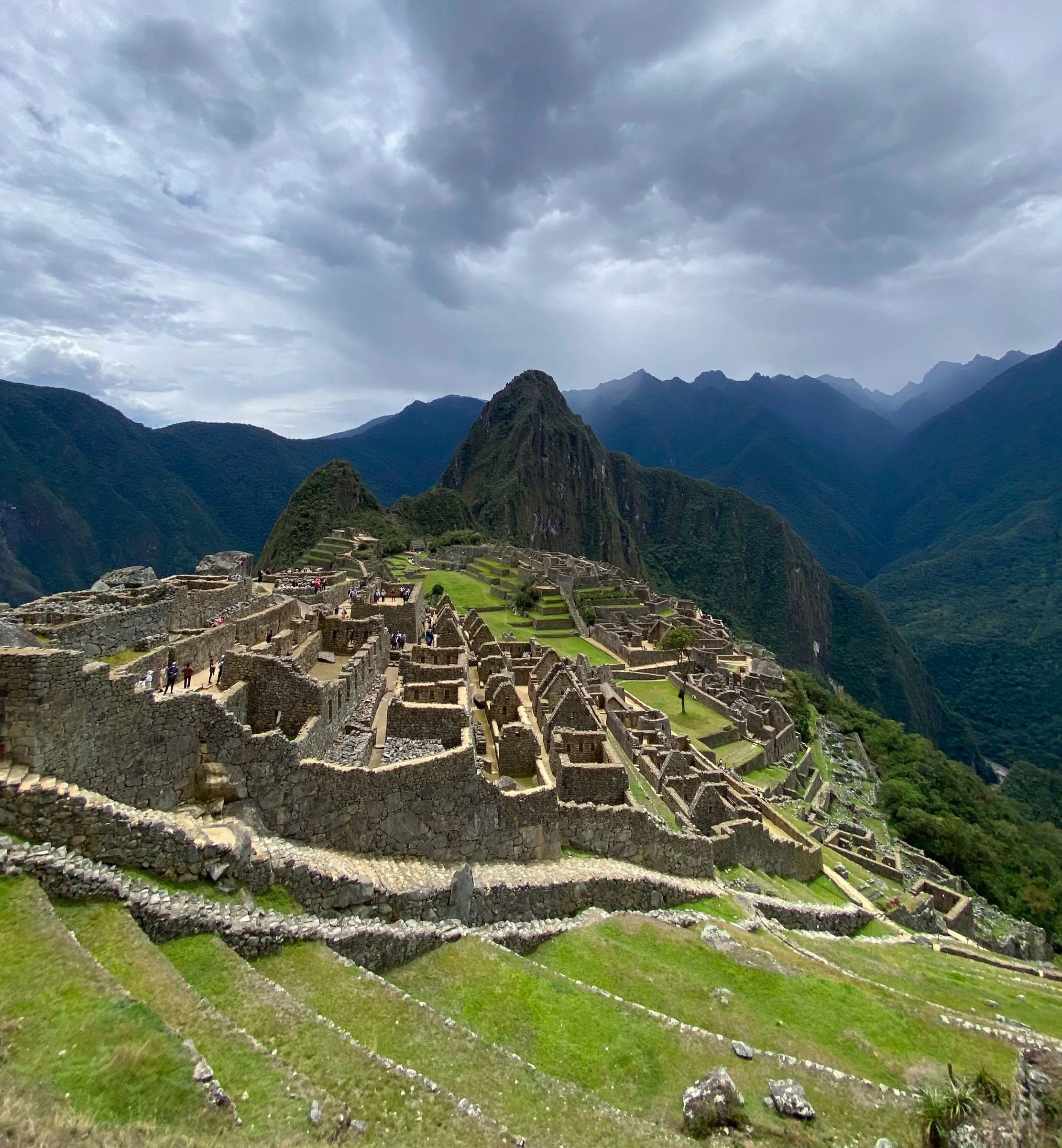 Non Beginner Ayahuasca Retreat