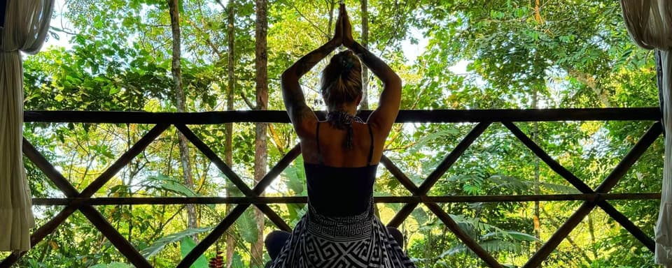 Non Beginner Ayahuasca Retreat