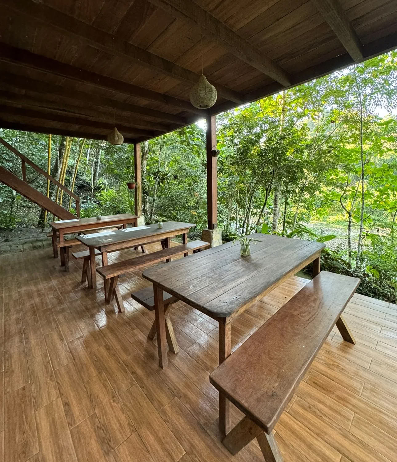 Plant Dieta Ayahuasca Retreat