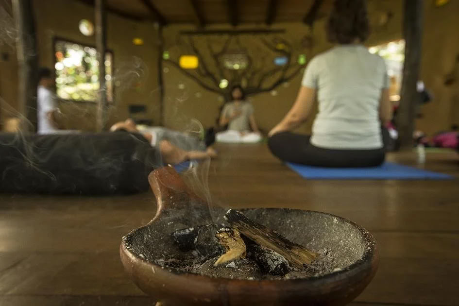 Plant Dieta Ayahuasca Retreat