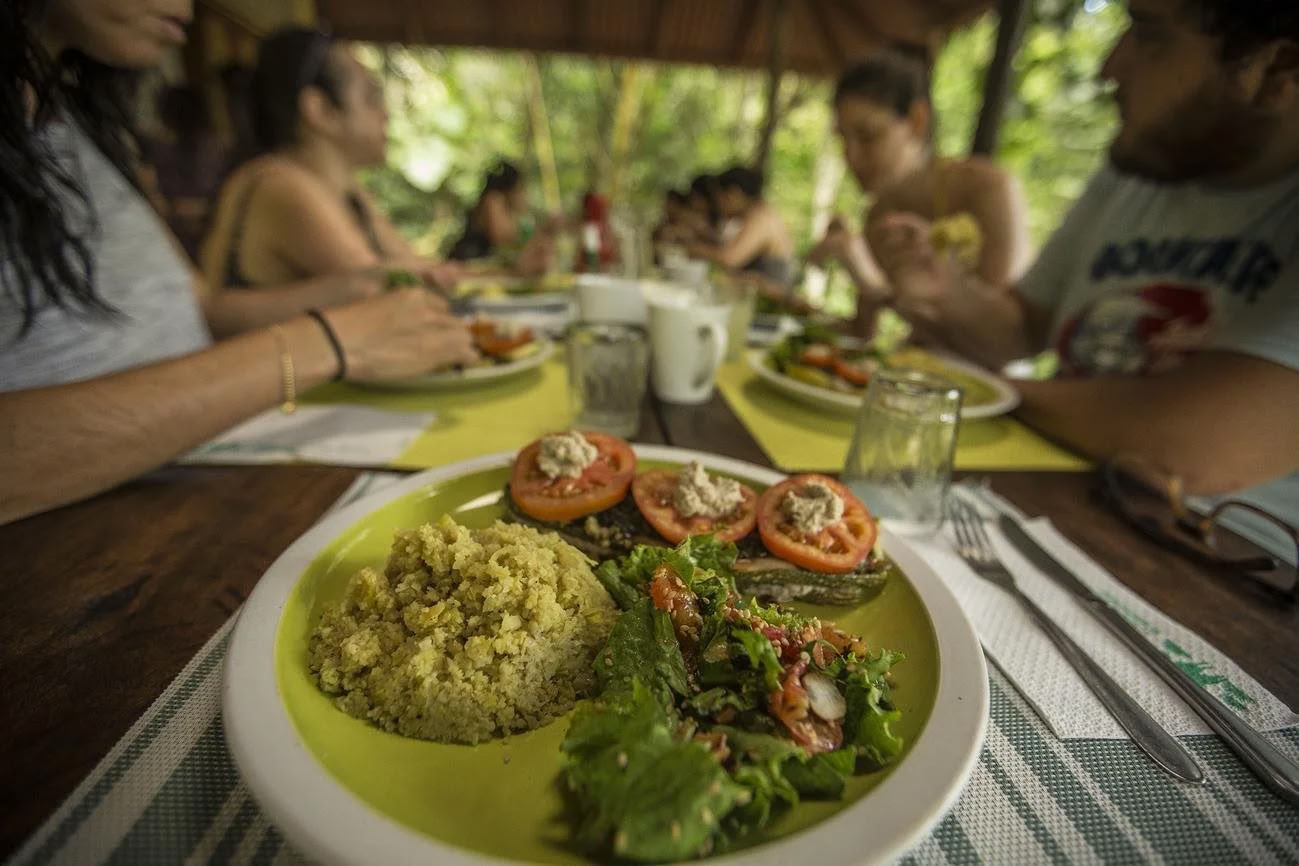 Plant Dieta Ayahuasca Retreat