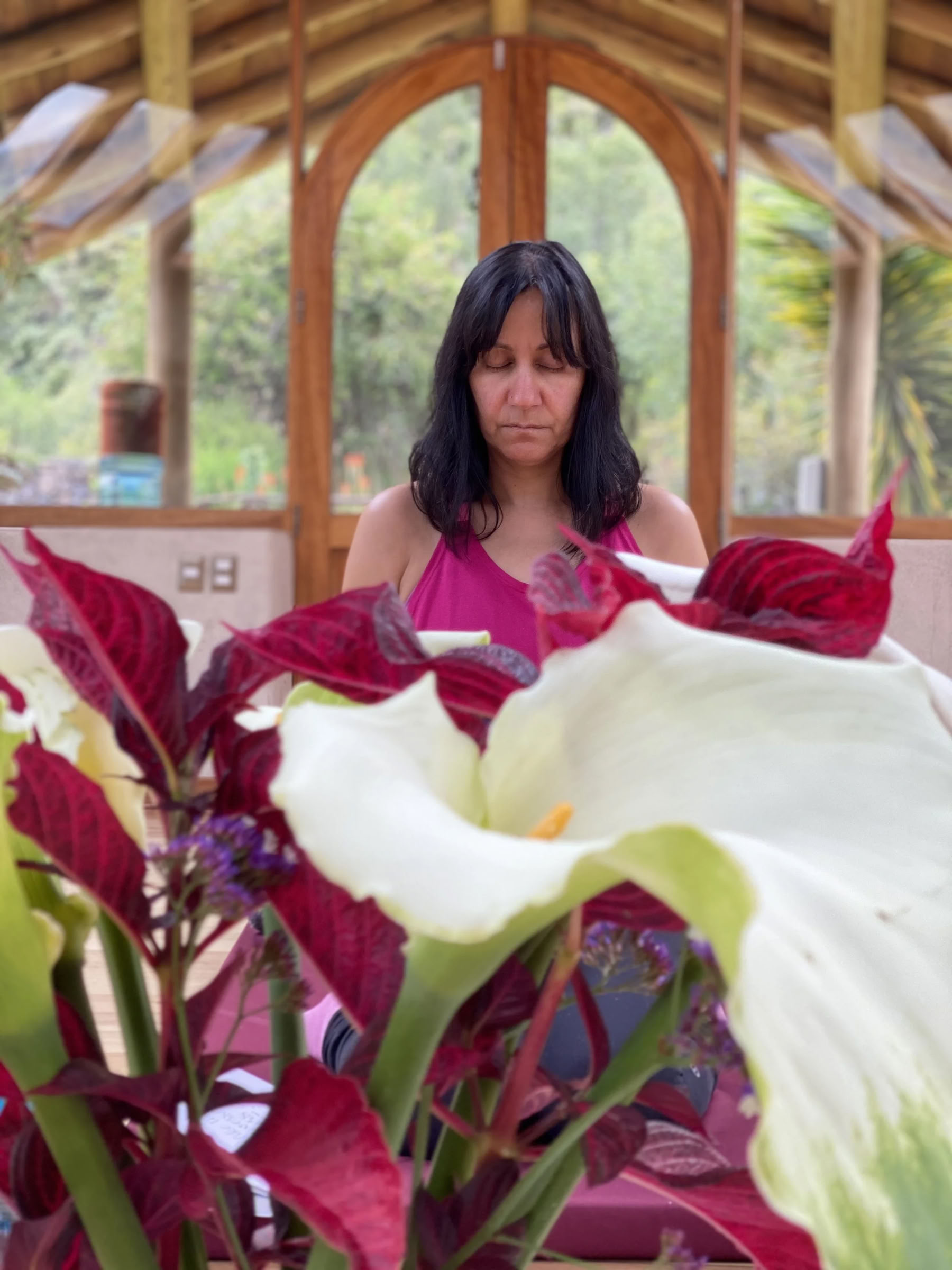 Plant Dieta Ayahuasca Retreat