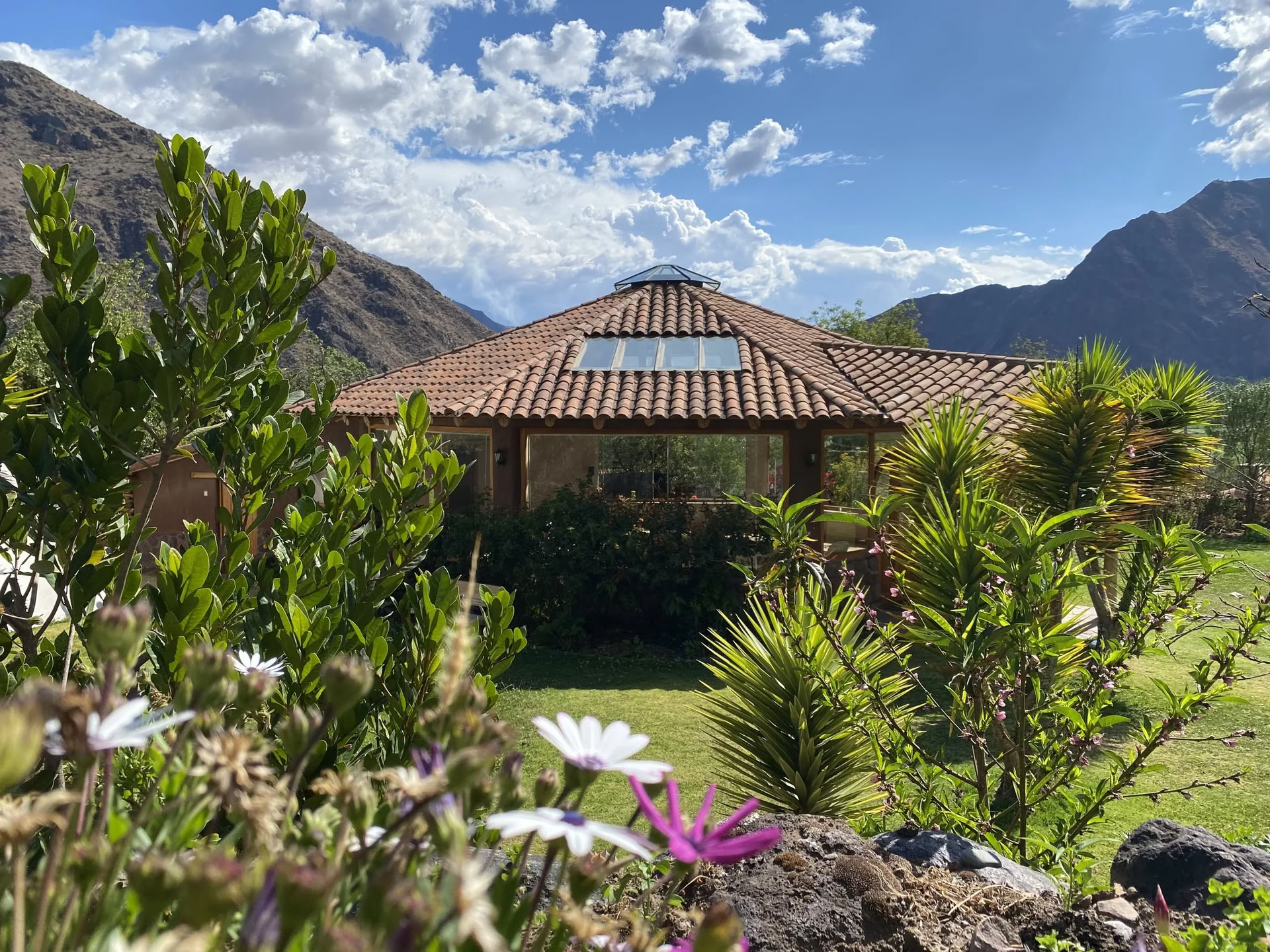 Scholarship Ayahuasca Retreat