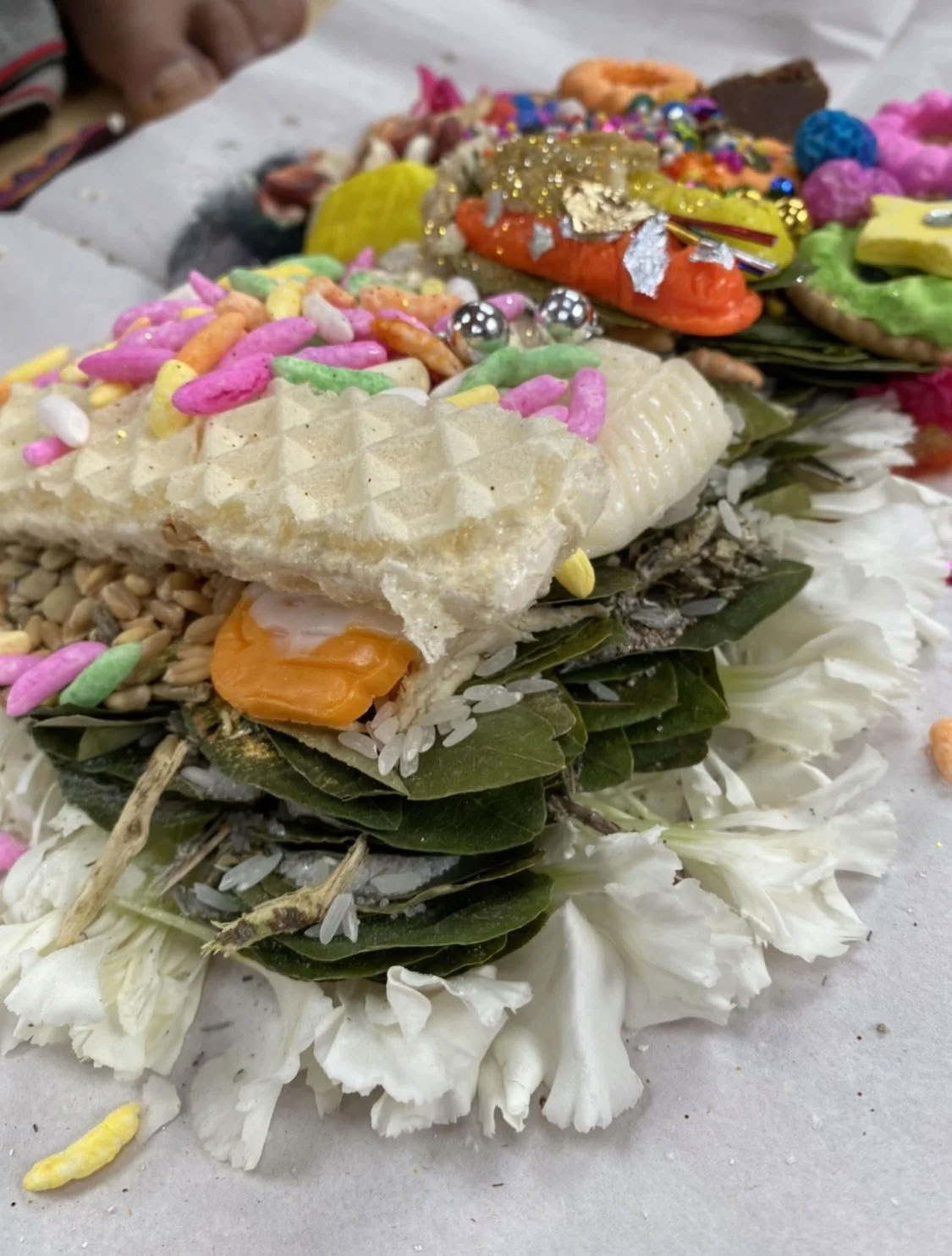 Scholarship Ayahuasca Retreat