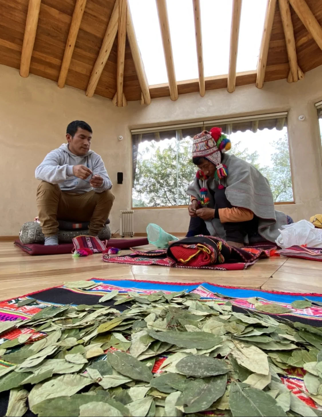 Scholarship Ayahuasca Retreat
