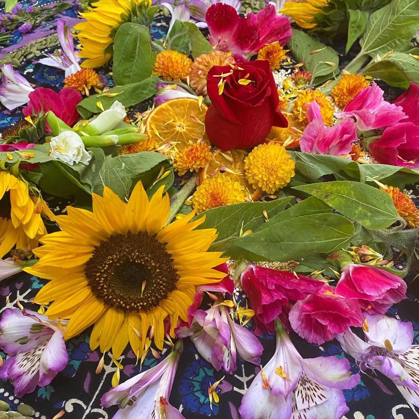 Women's Ayahuasca Retreat