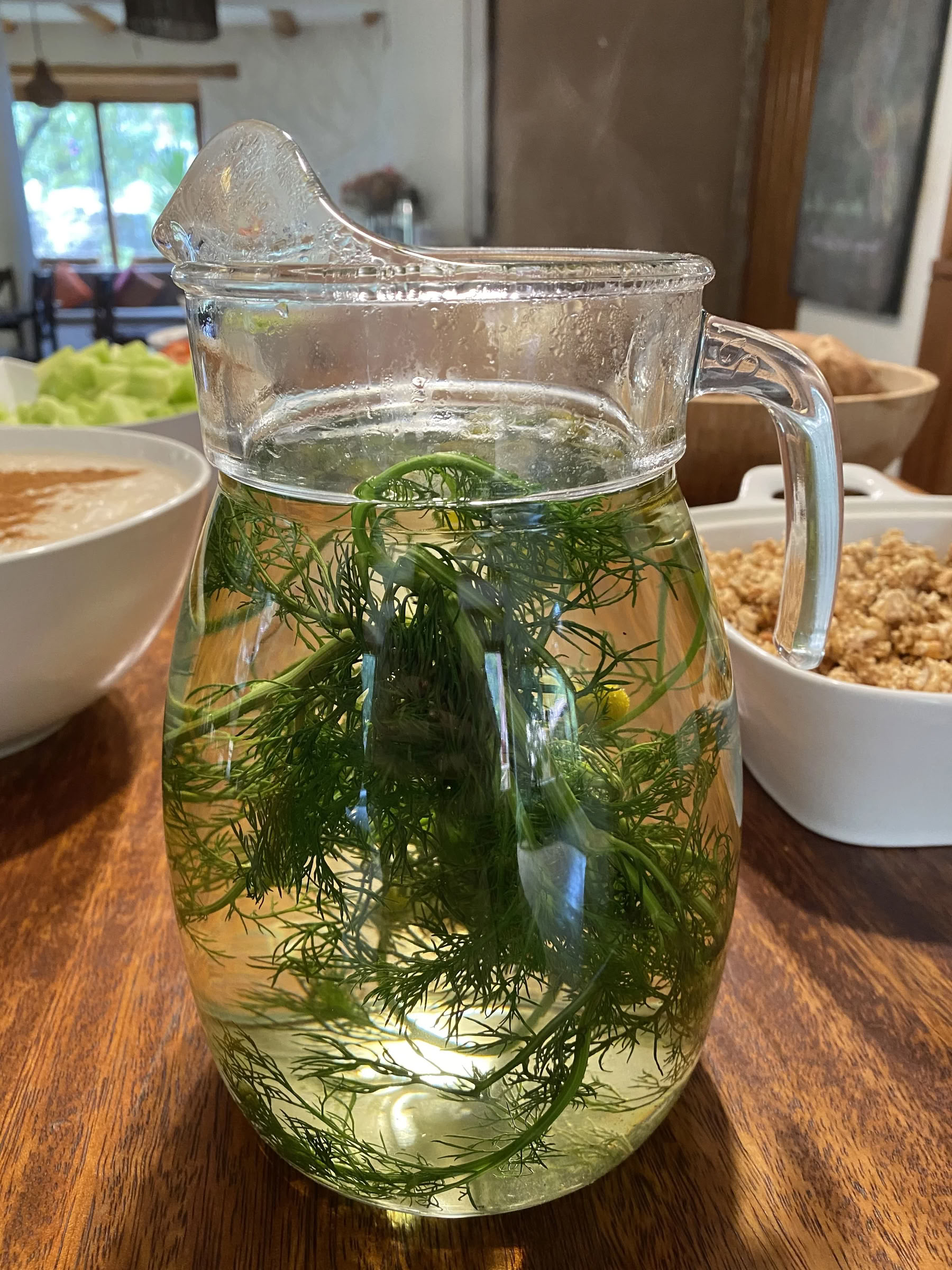 Women's Ayahuasca Retreat