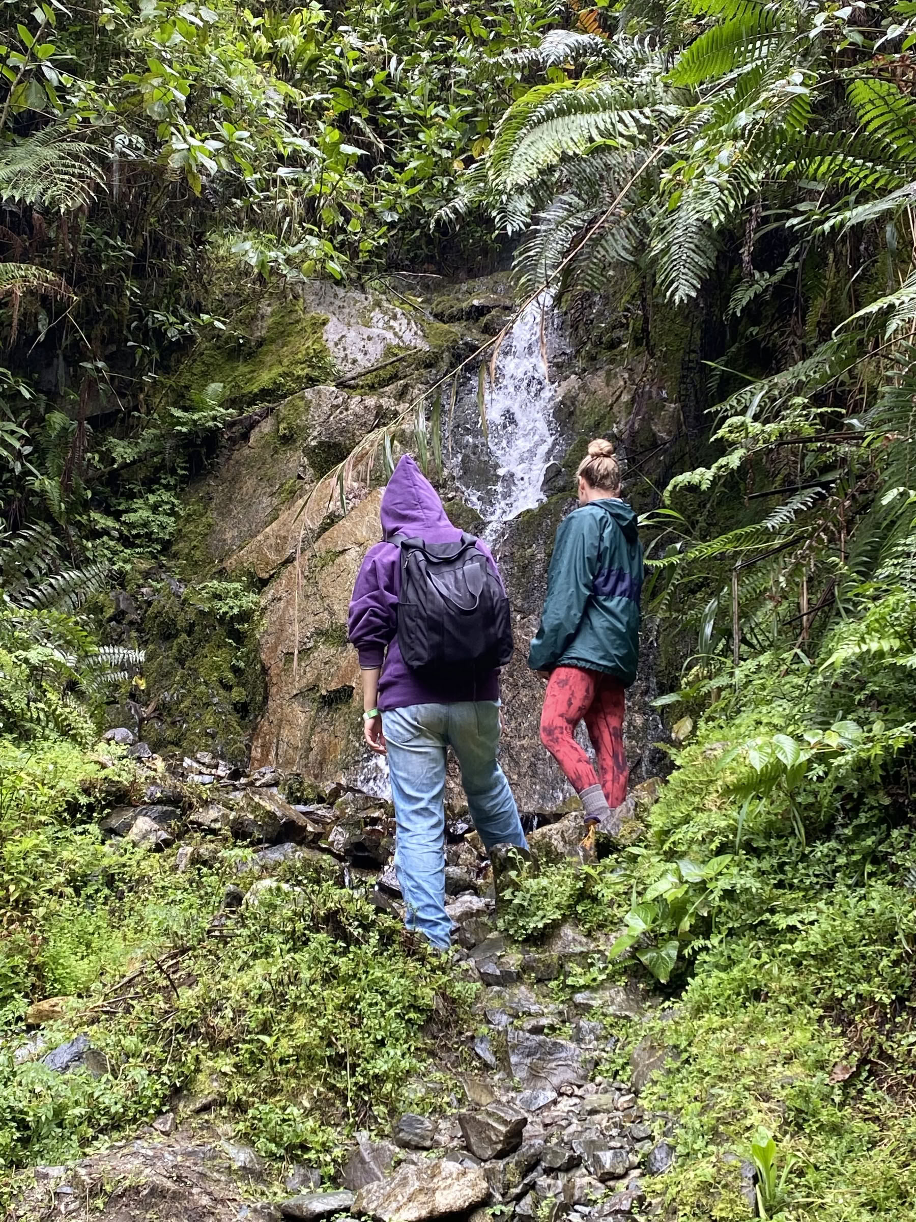 Women's Ayahuasca Retreat