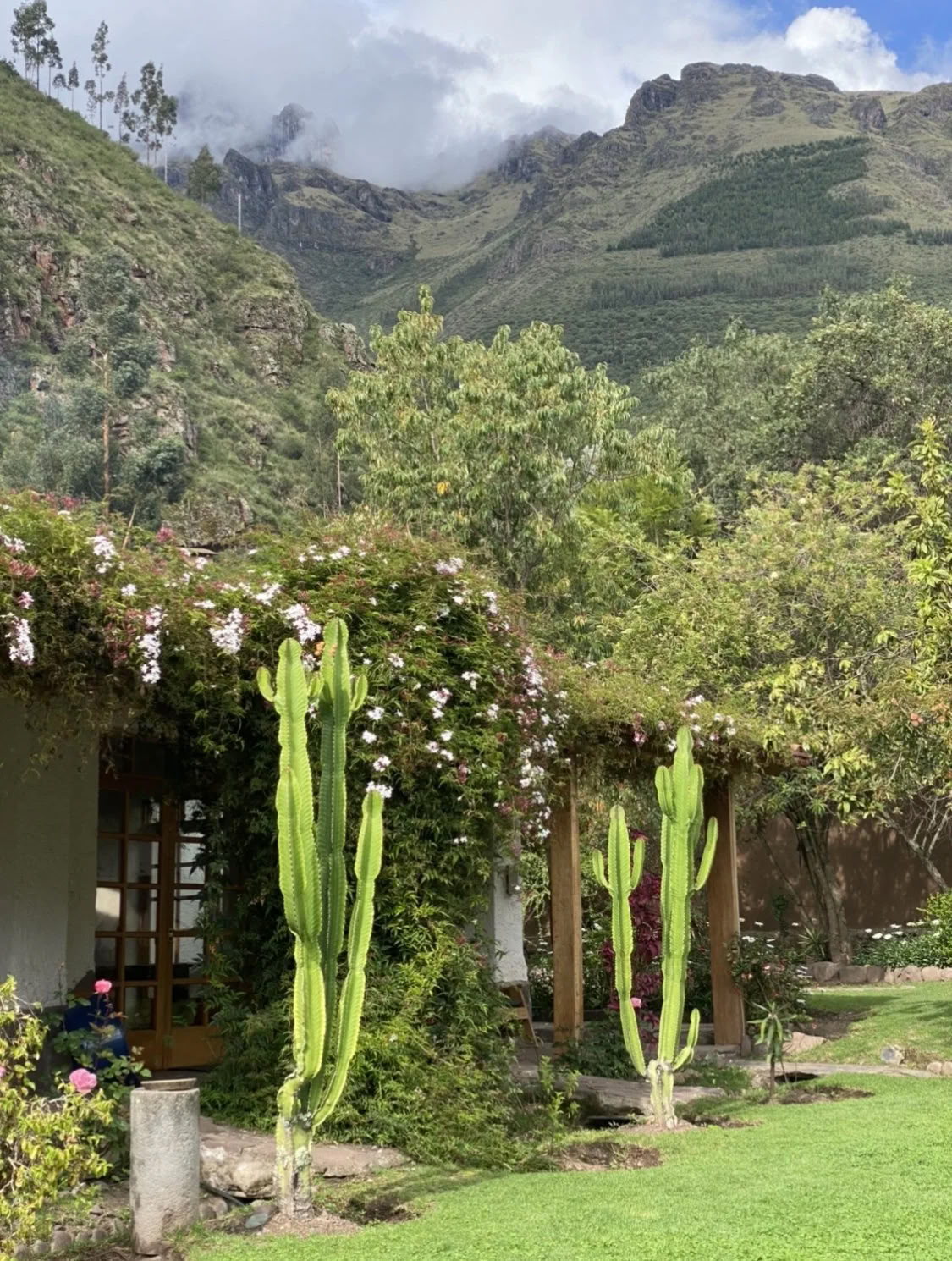 Women's Ayahuasca Retreat