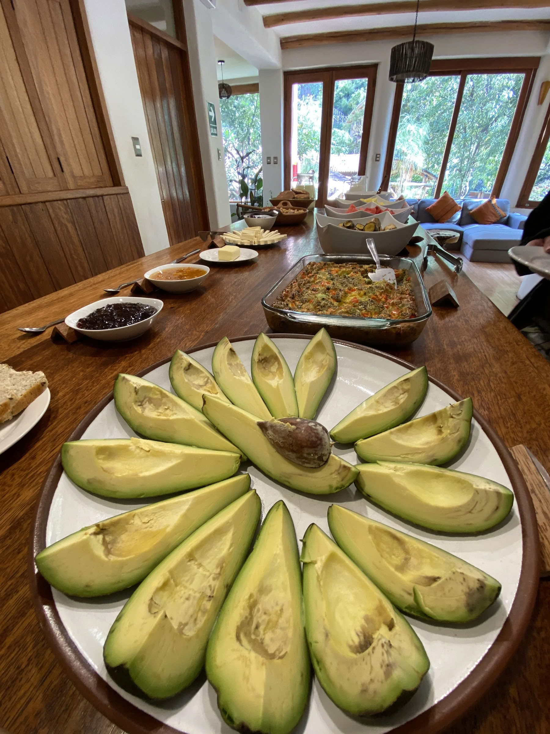 Ayahuasca Retreat in the Amazon Rainforest