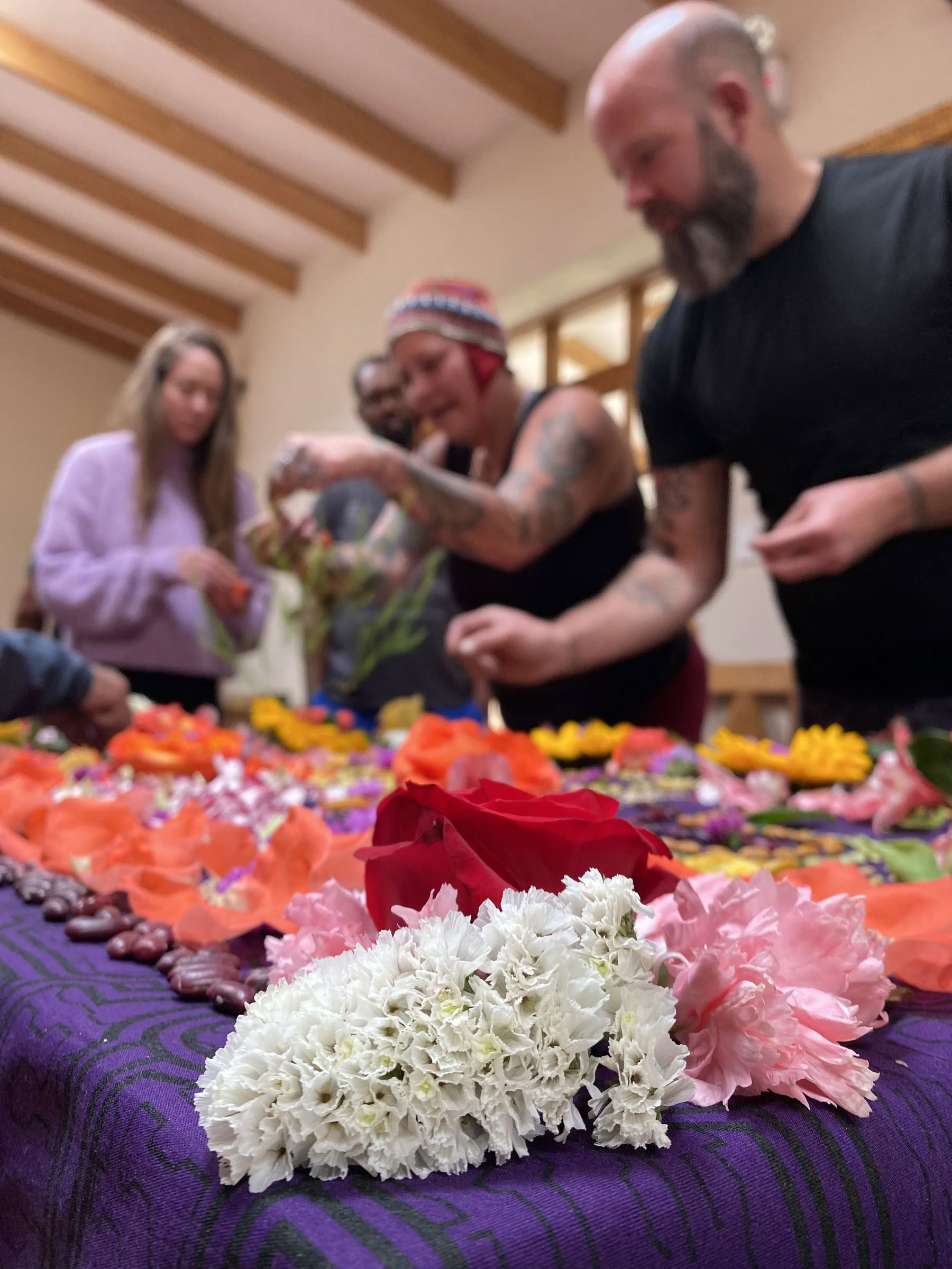Ayahuasca Retreat in the Amazon Rainforest