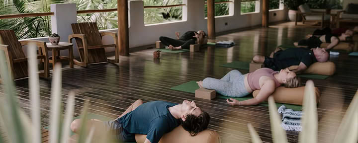 VINYASA FLEXIBILITY FLOW