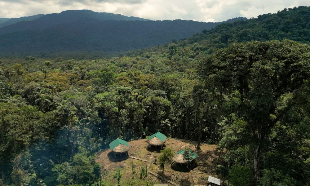Ayahuasca Initiation Retreat: 7 and 14-Day – January 10-31, 2027