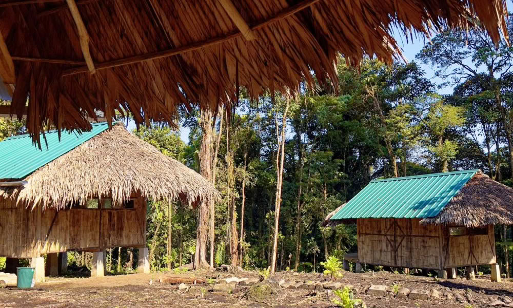 Ayahuasca Initiation Retreat: 7 and 14-Day – January 10-31, 2027