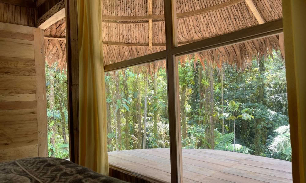 Ayahuasca Initiation Retreat: 7 and 14-Day – January 10-31, 2027