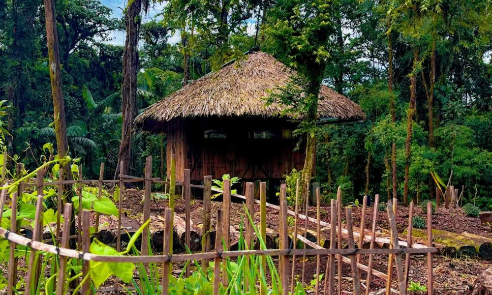 Ayahuasca Initiation Retreat: 7 and 14-Day – January 10-31, 2027