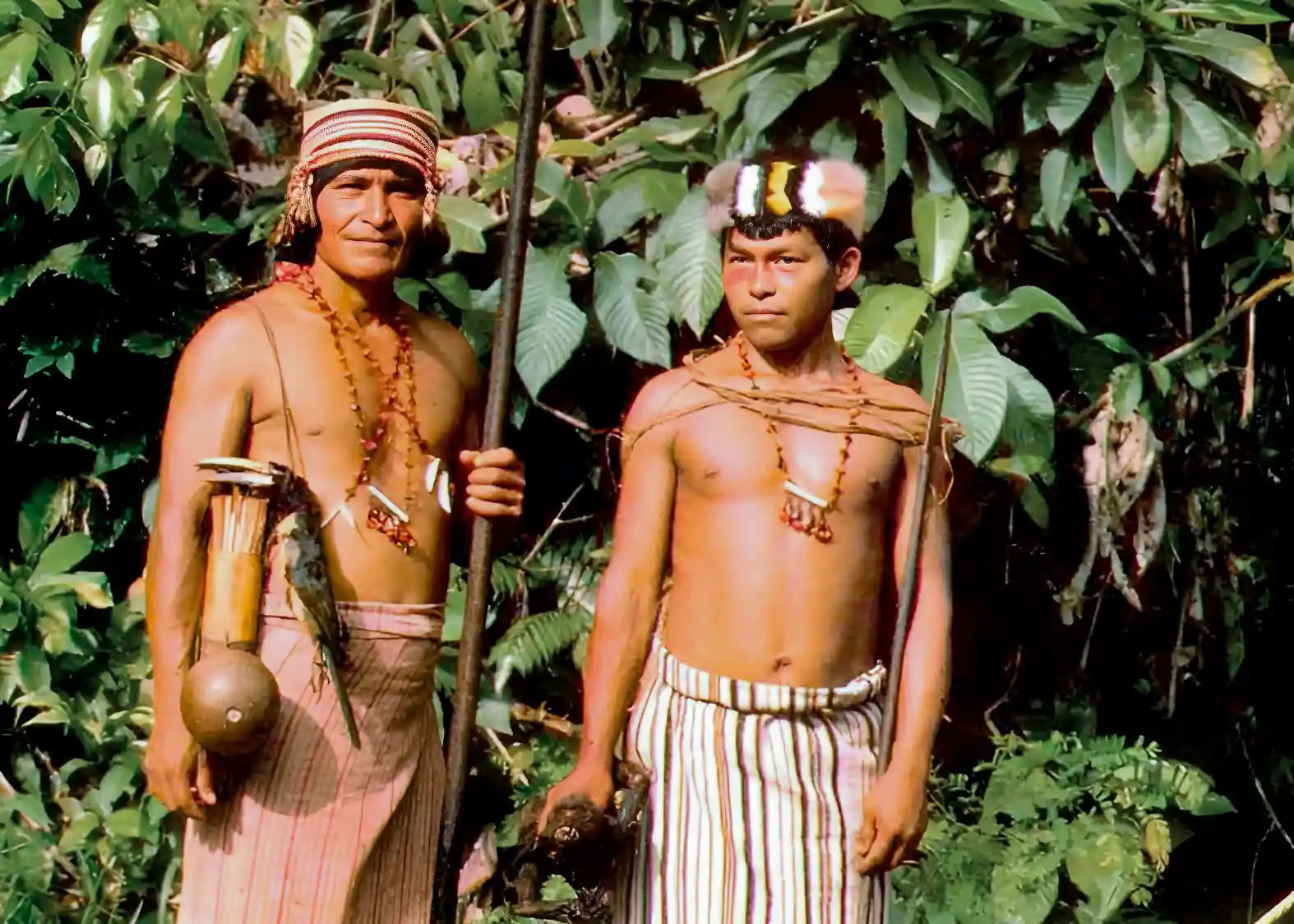 Ayahuasca Initiation Retreat: 7 and 14-Day – January 10-31, 2027