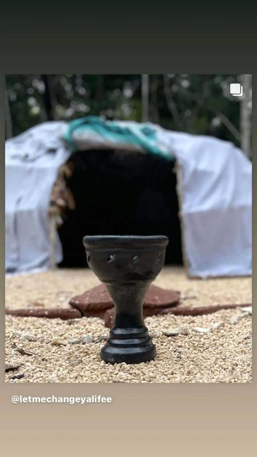 Plant Wisdom Ceremony