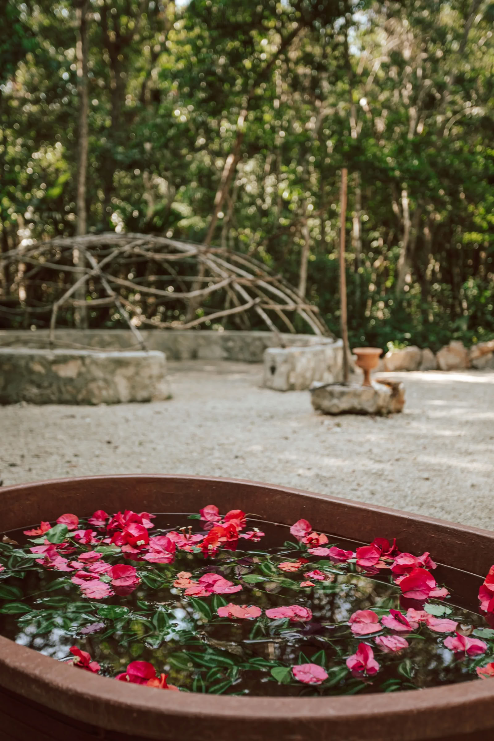 Plant Wisdom Ceremony