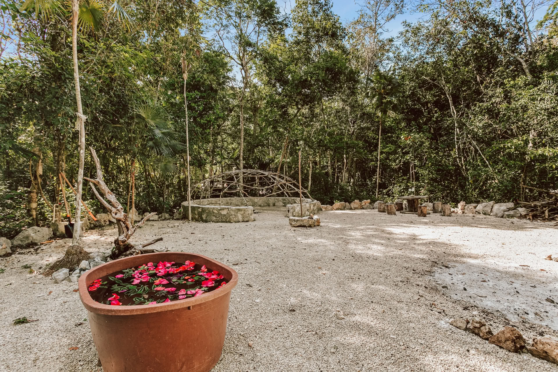 Metamorphosis — Women's Healing Retreat at Casa Arkaana