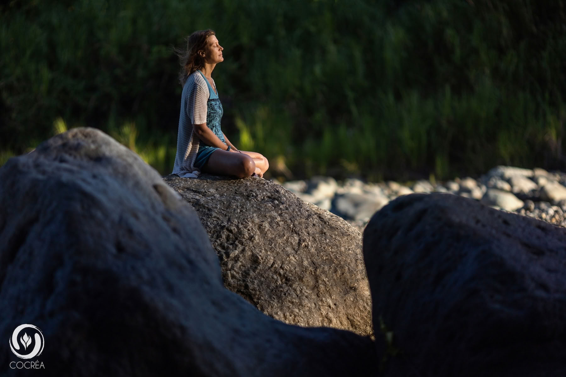 Plant Medicine Retreat
