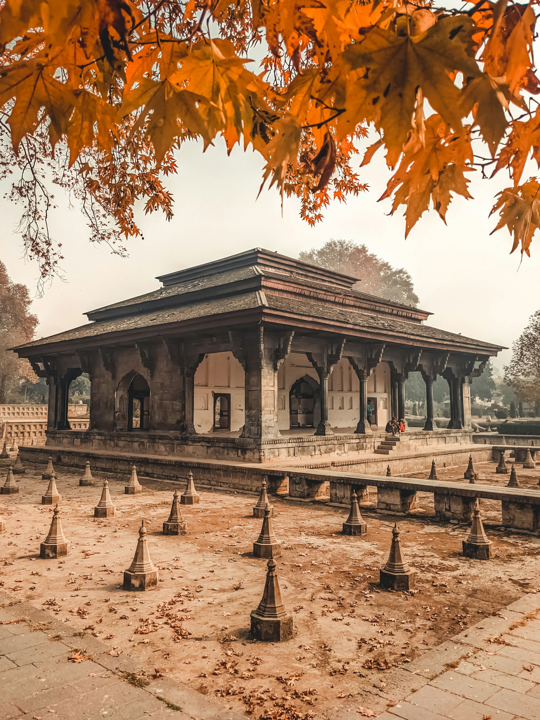 Dal Dreams & Mountain Days: A Signature Kashmir Experience