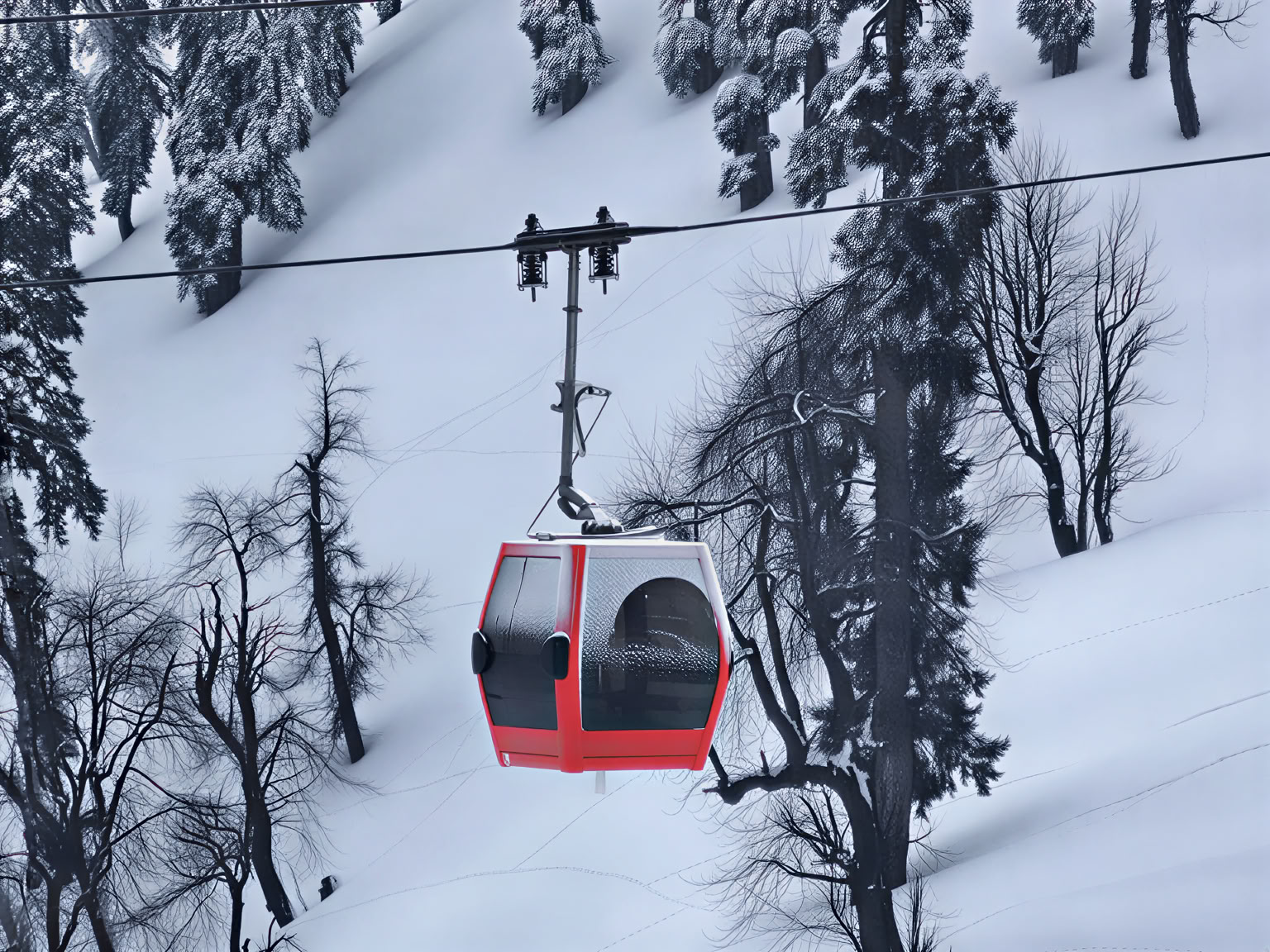 Dal Dreams & Mountain Days: A Signature Kashmir Experience