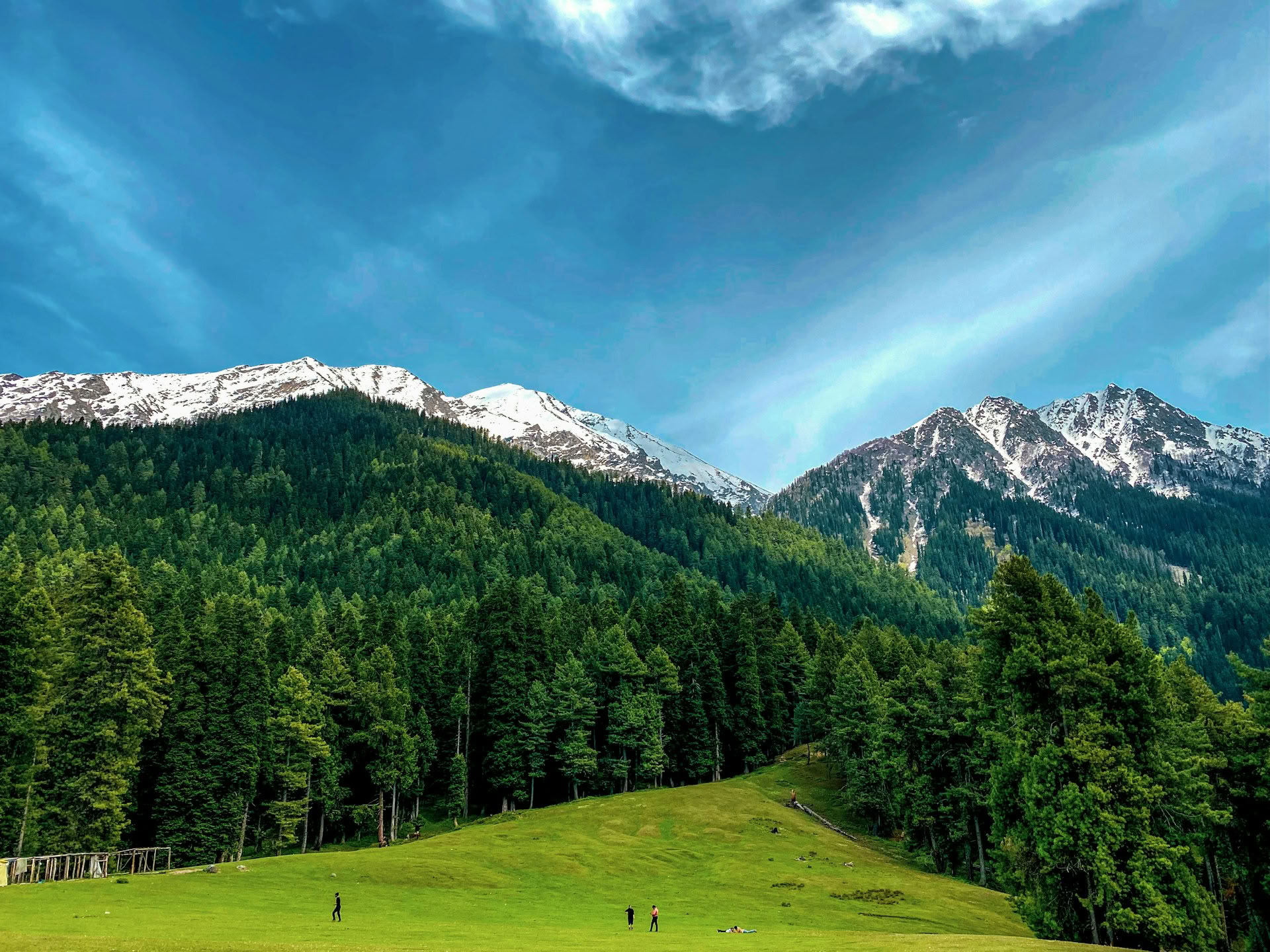 Dal Dreams & Mountain Days: A Signature Kashmir Experience