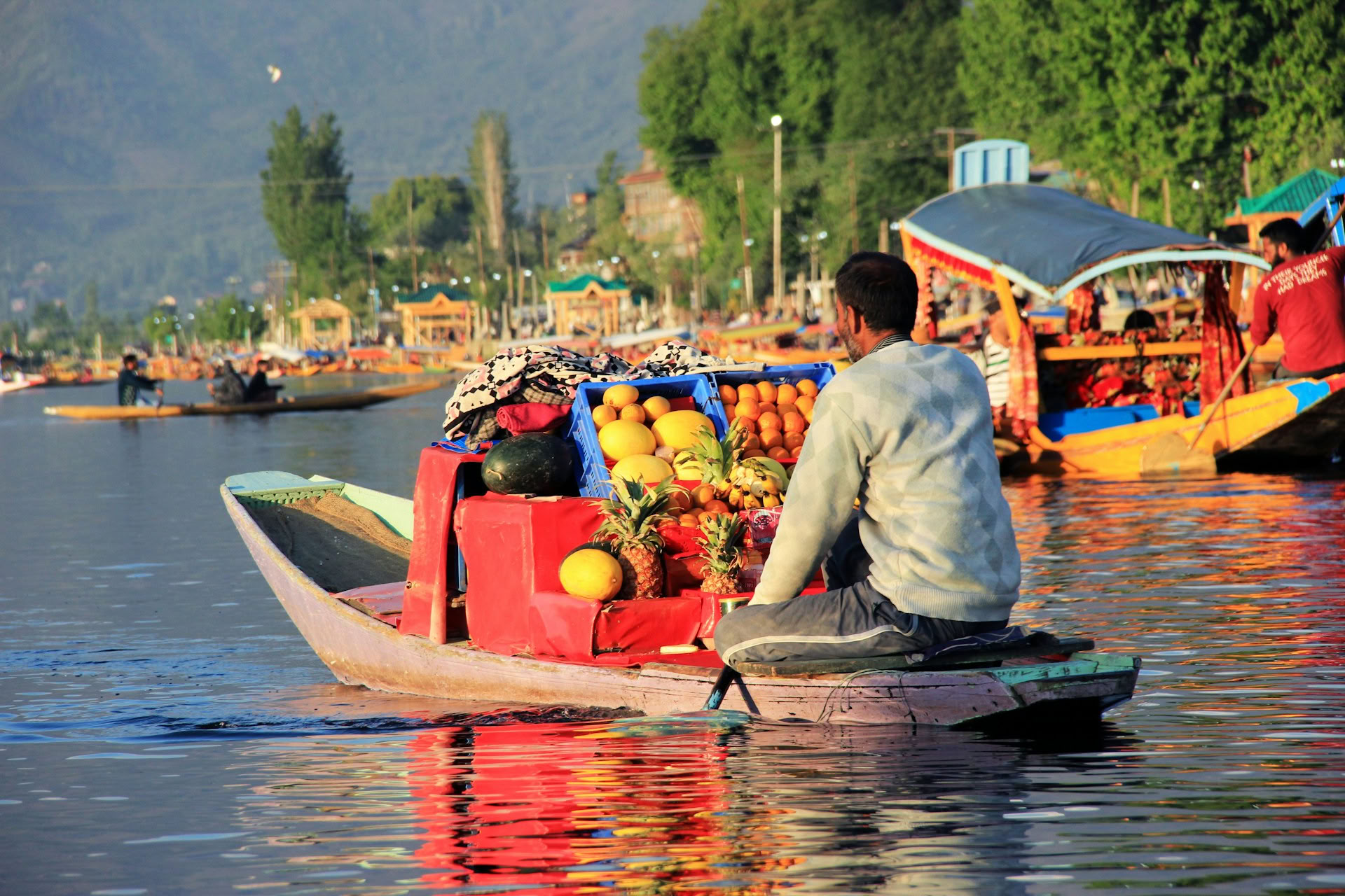 Meadows of Gold: Srinagar to Sonmarg Alpine Escape