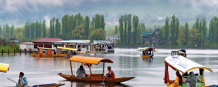Meadows of Gold: Srinagar to Sonmarg Alpine Escape