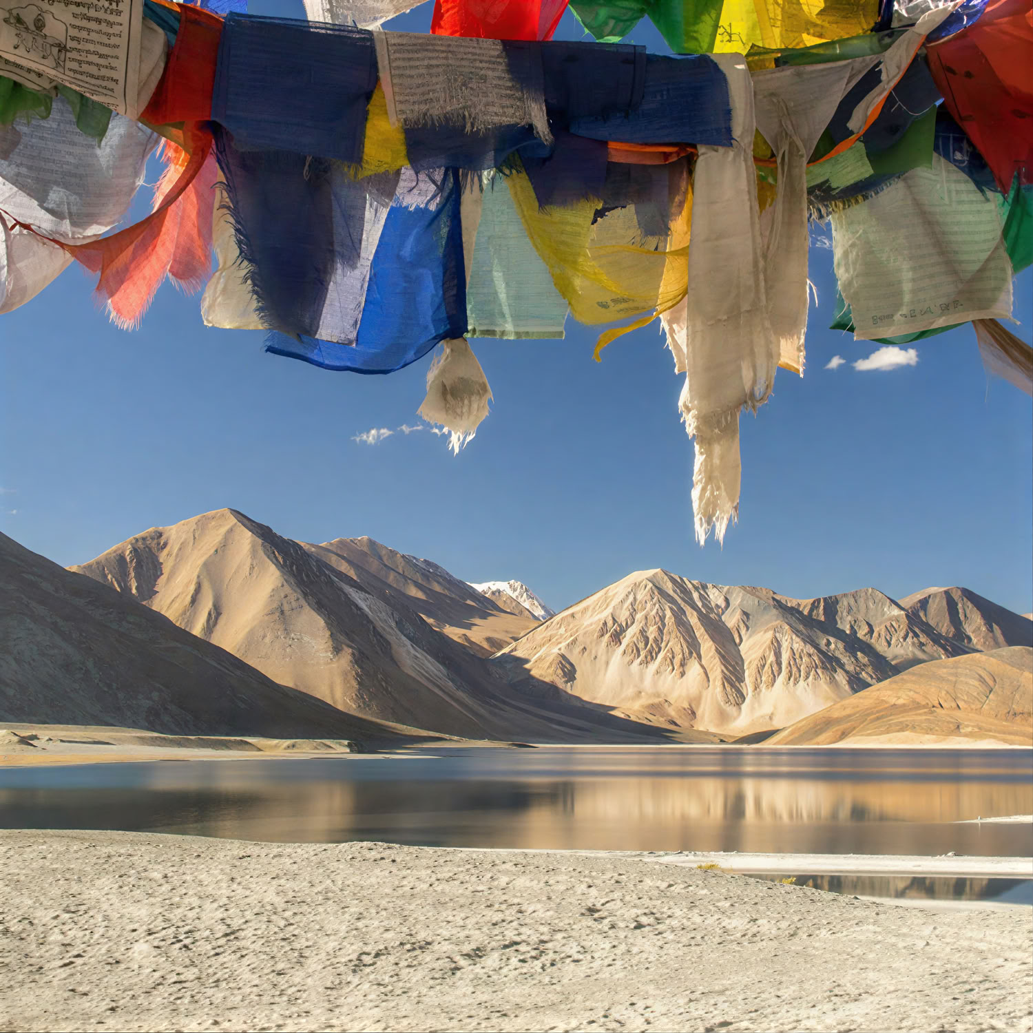 From Paradise to the Plateau: Kashmir to Ladakh Road Journey