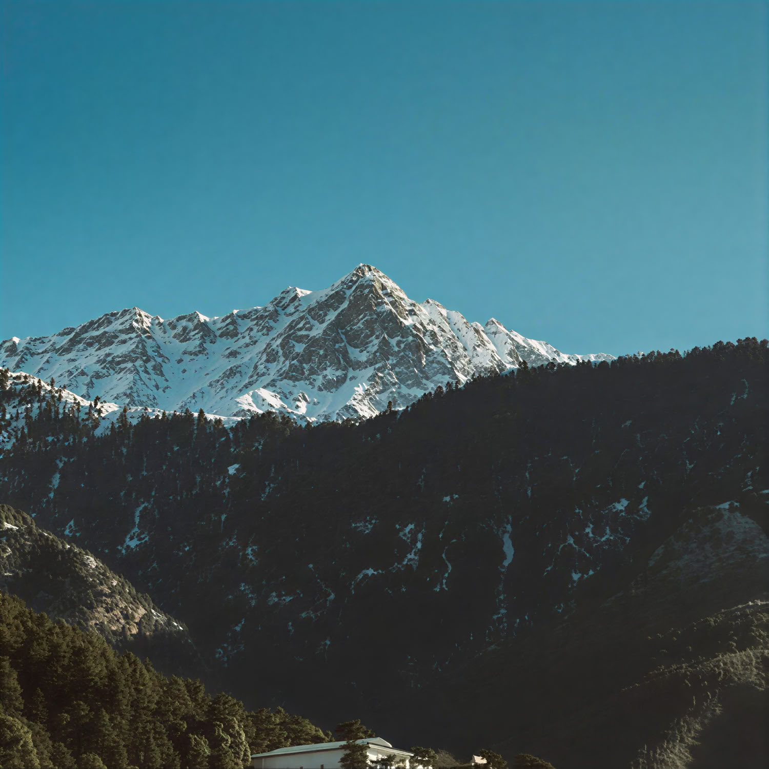 Sacred Hills to Golden Horizons: Dharamshala, Dalhousie & Amritsar Trail