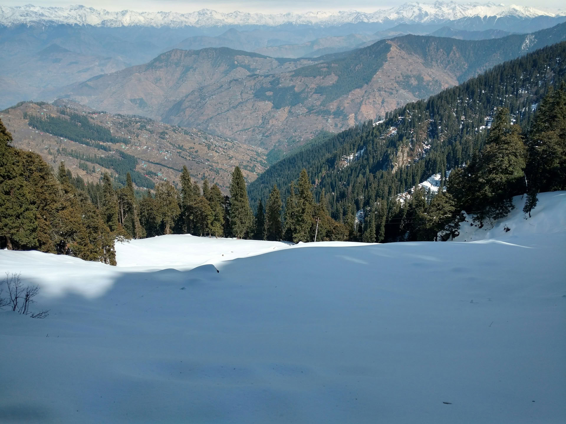 Orchards to Forest Trails: Thanedar, Sojha & Tirthan Slow Himalayan Escape
