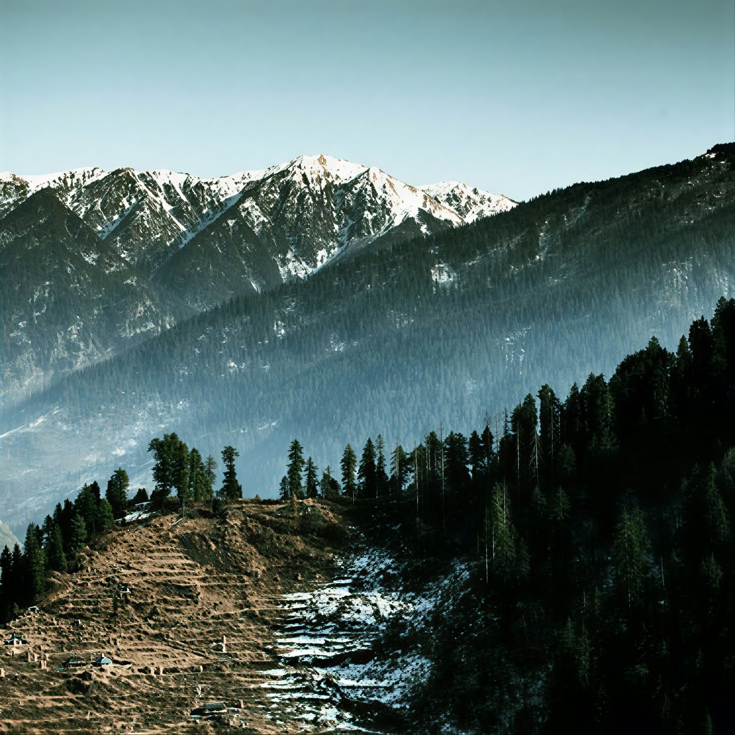 Orchards to Forest Trails: Thanedar, Sojha & Tirthan Slow Himalayan Escape