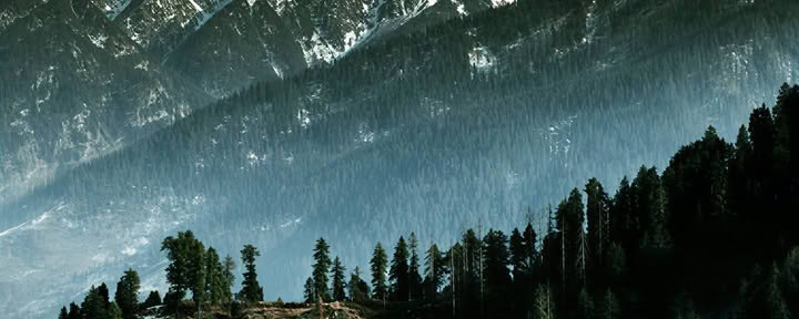 Orchards to Forest Trails: Thanedar, Sojha & Tirthan Slow Himalayan Escape