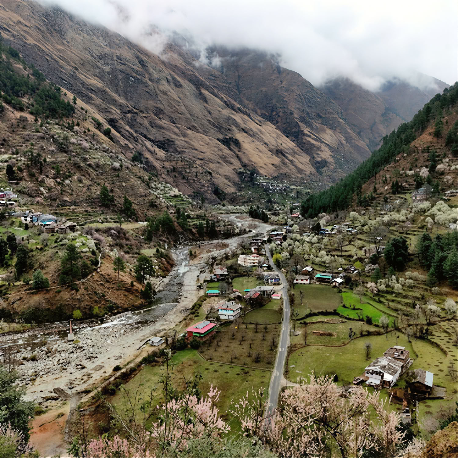 Forest Trails to Hidden Hamlets: Sojha, Tirthan & Sonaugi Himalayan Retreat