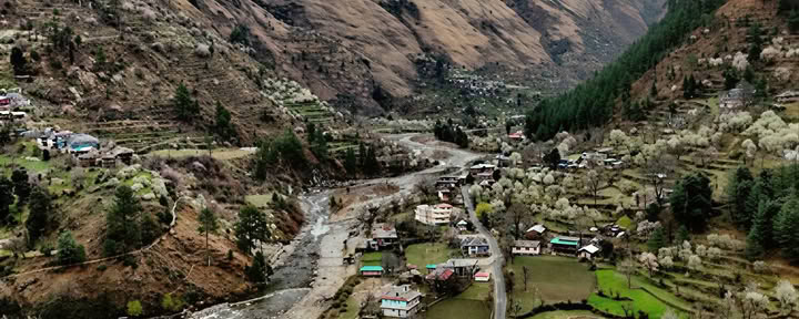 Forest Trails to Hidden Hamlets: Sojha, Tirthan & Sonaugi Himalayan Retreat