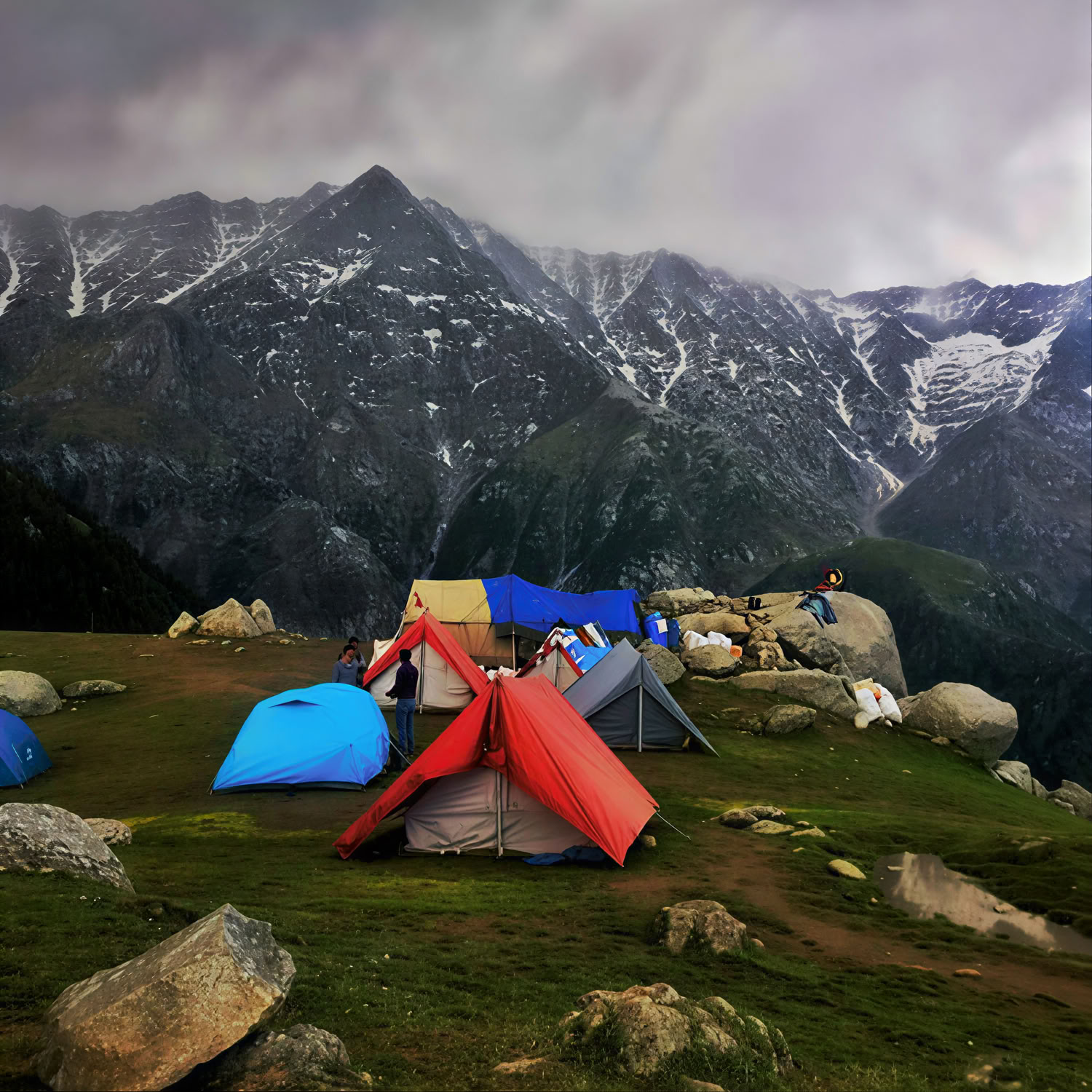 Monasteries, Tea Trails & Sky Views: Dharamshala, Palampur & Bir Escape
