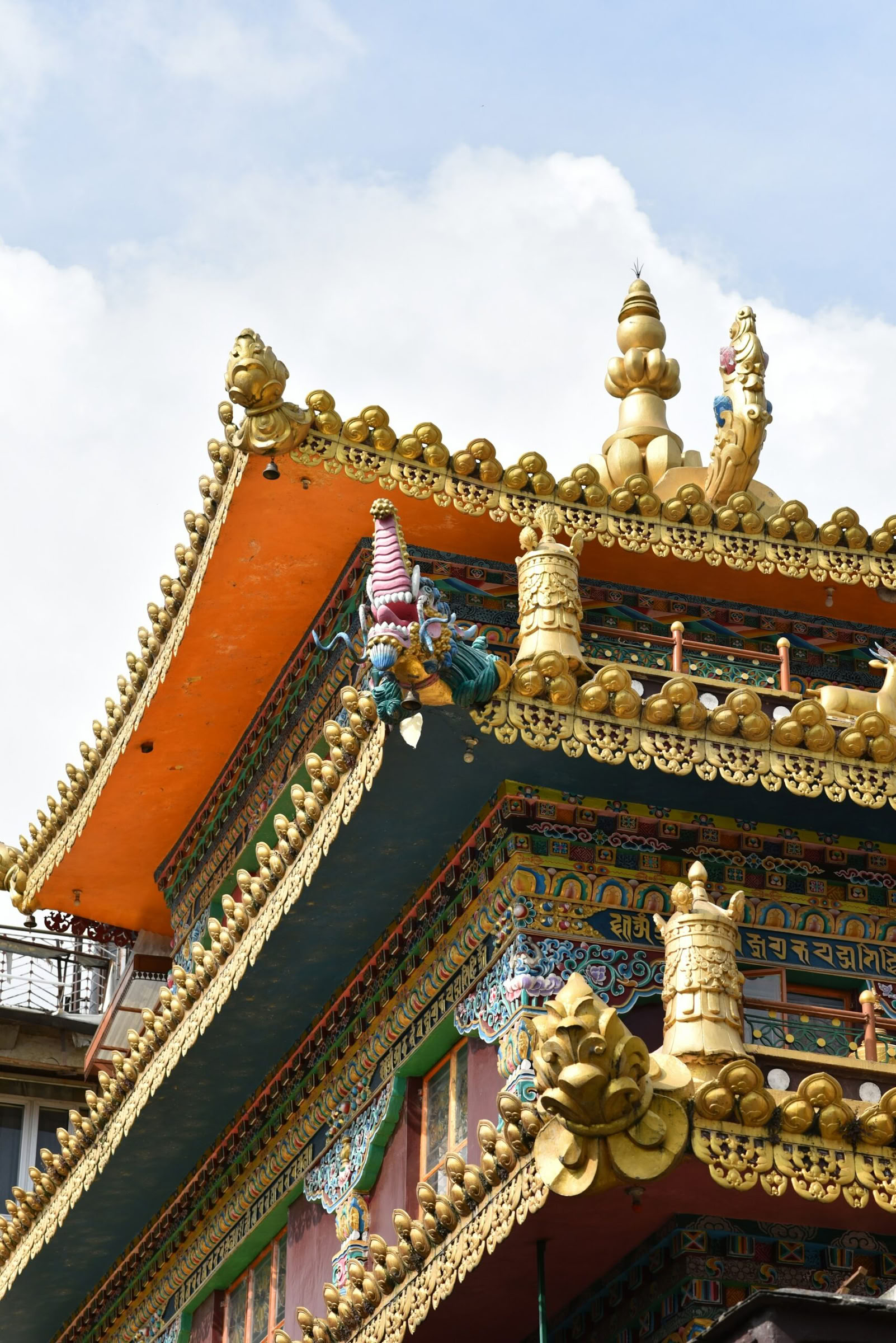 Monasteries, Tea Trails & Sky Views: Dharamshala, Palampur & Bir Escape