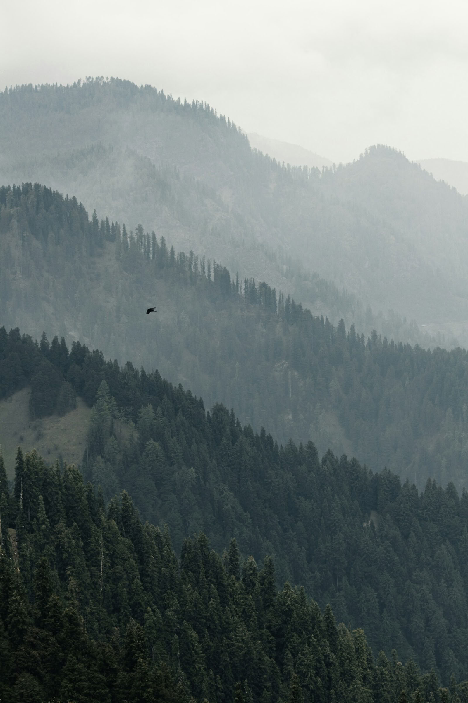 Camp, Climb & Connect – A Family Himalayan Journey