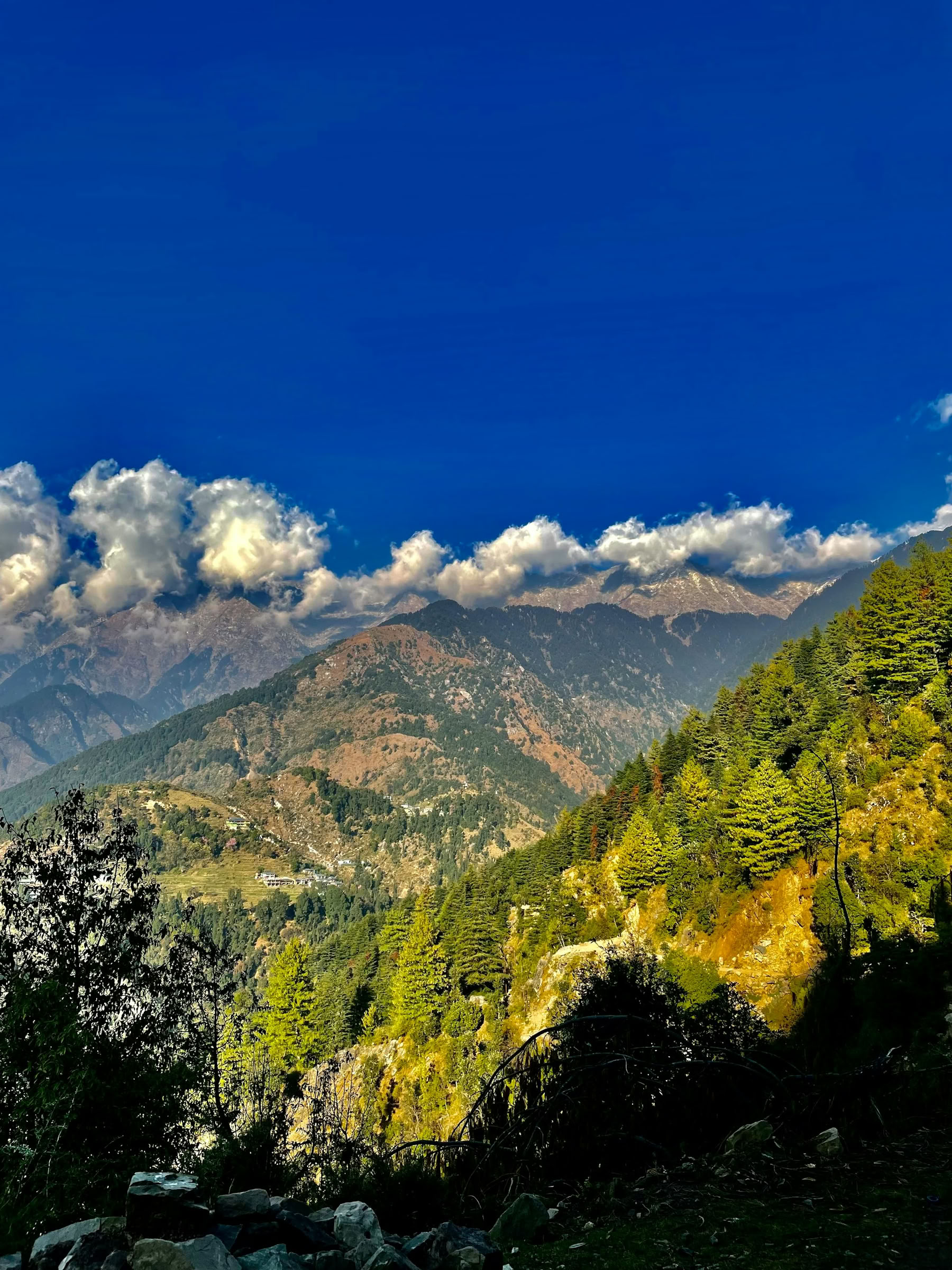 Camp, Climb & Connect – A Family Himalayan Journey