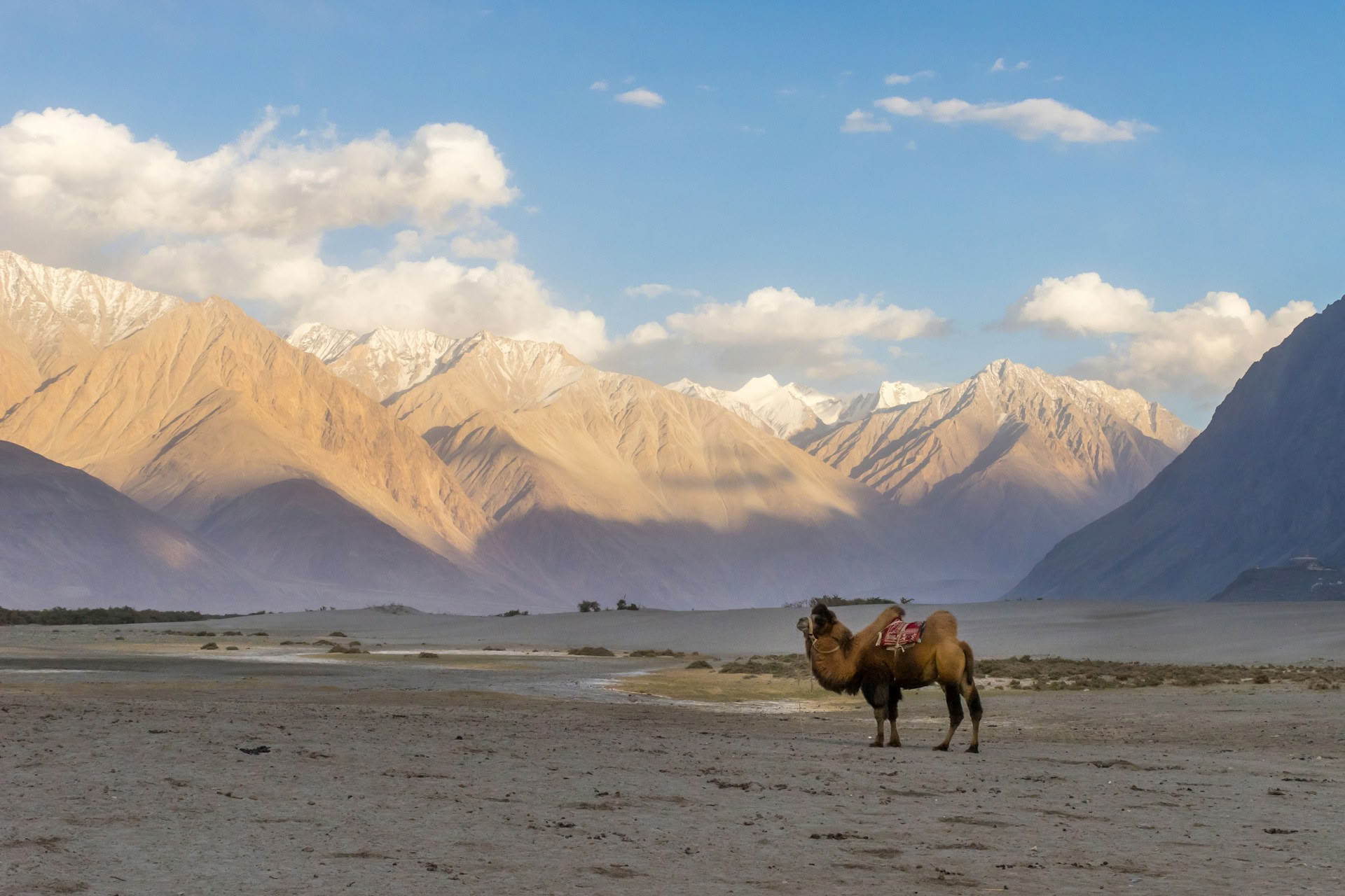 Cultural Trails of Ladakh via Zoji La & Turtuk Village