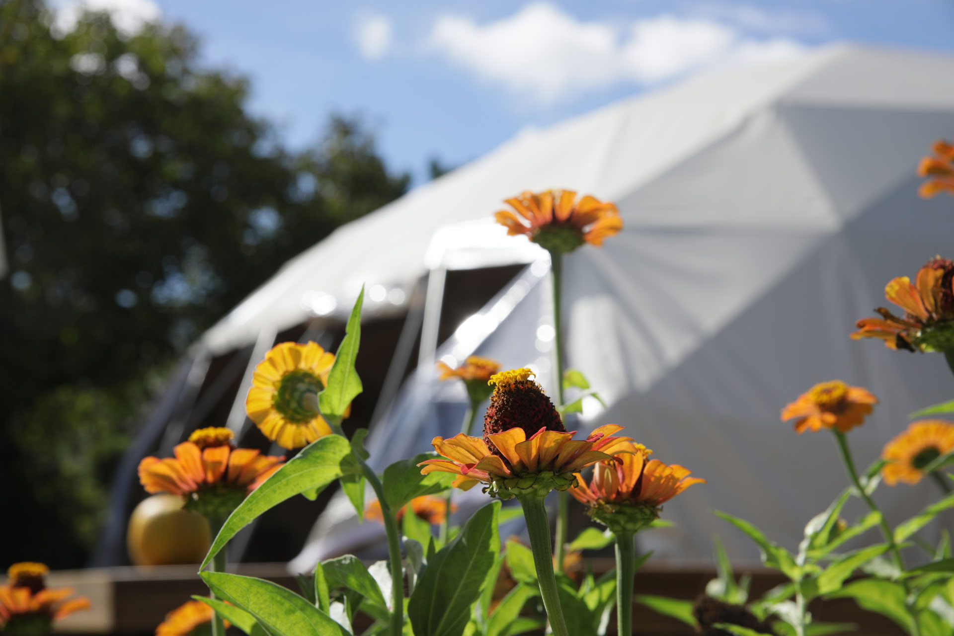 4 Day Silent Bloom Retreat
