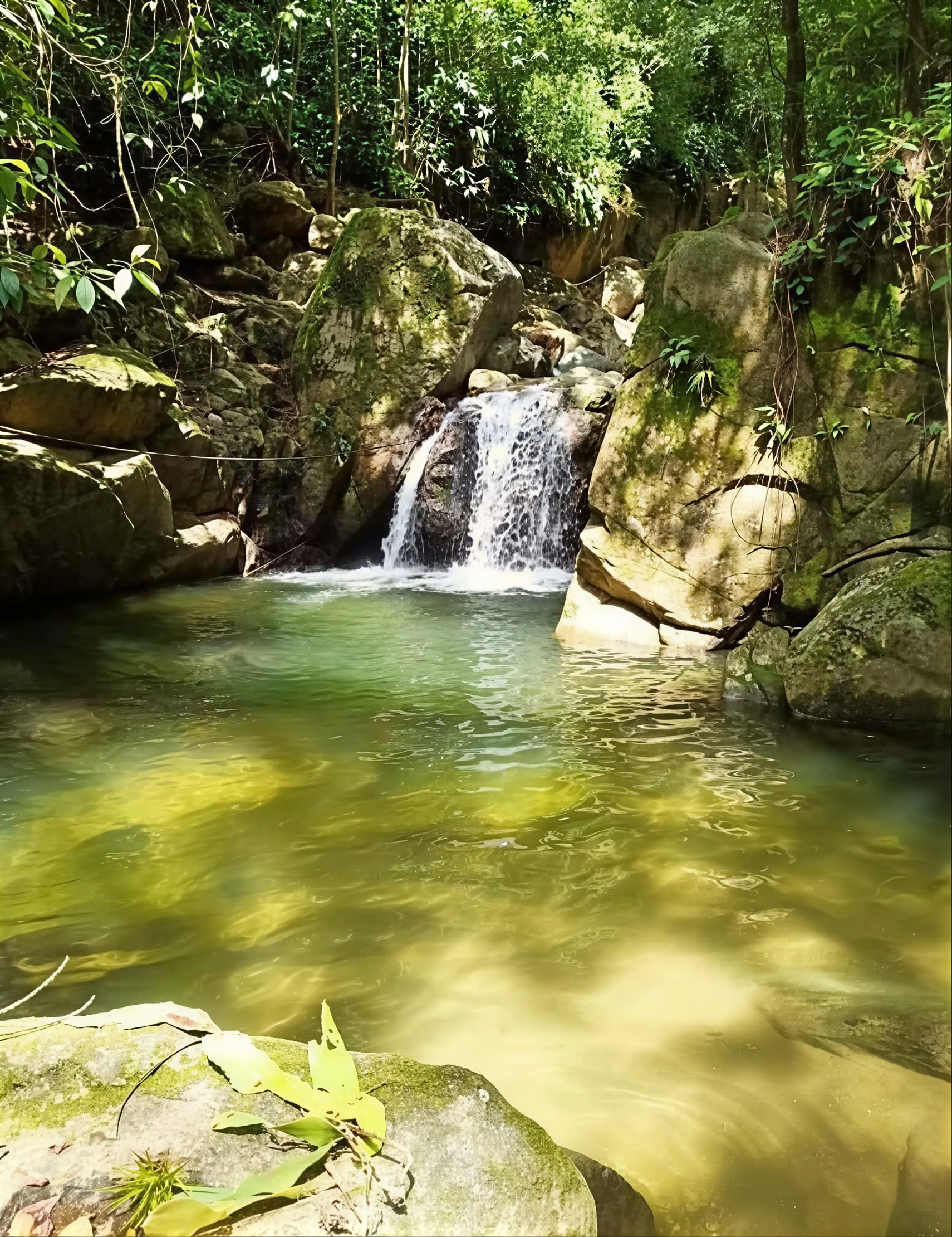 Sacred Ayahuasca Retreat in Santa Marta, Colombia