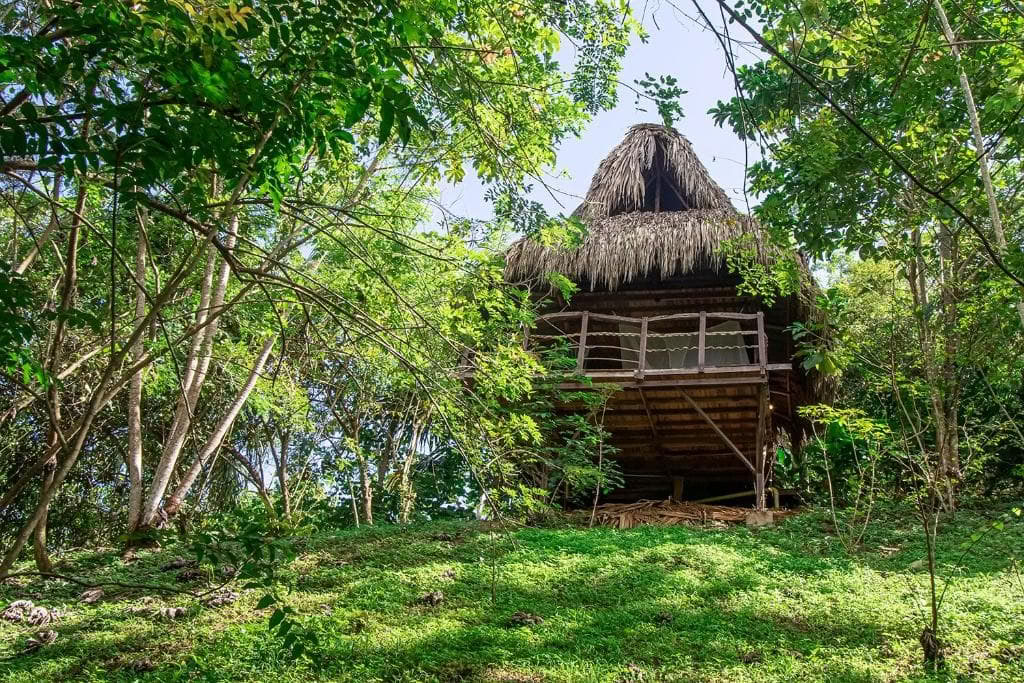 Sacred Ayahuasca Retreat in Santa Marta, Colombia