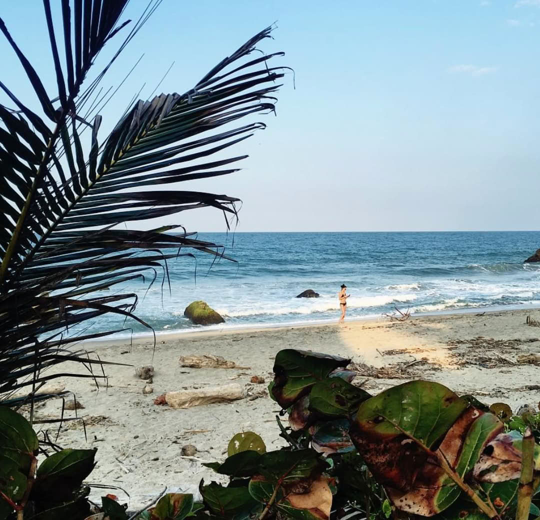 Sacred Ayahuasca Retreat in Santa Marta, Colombia