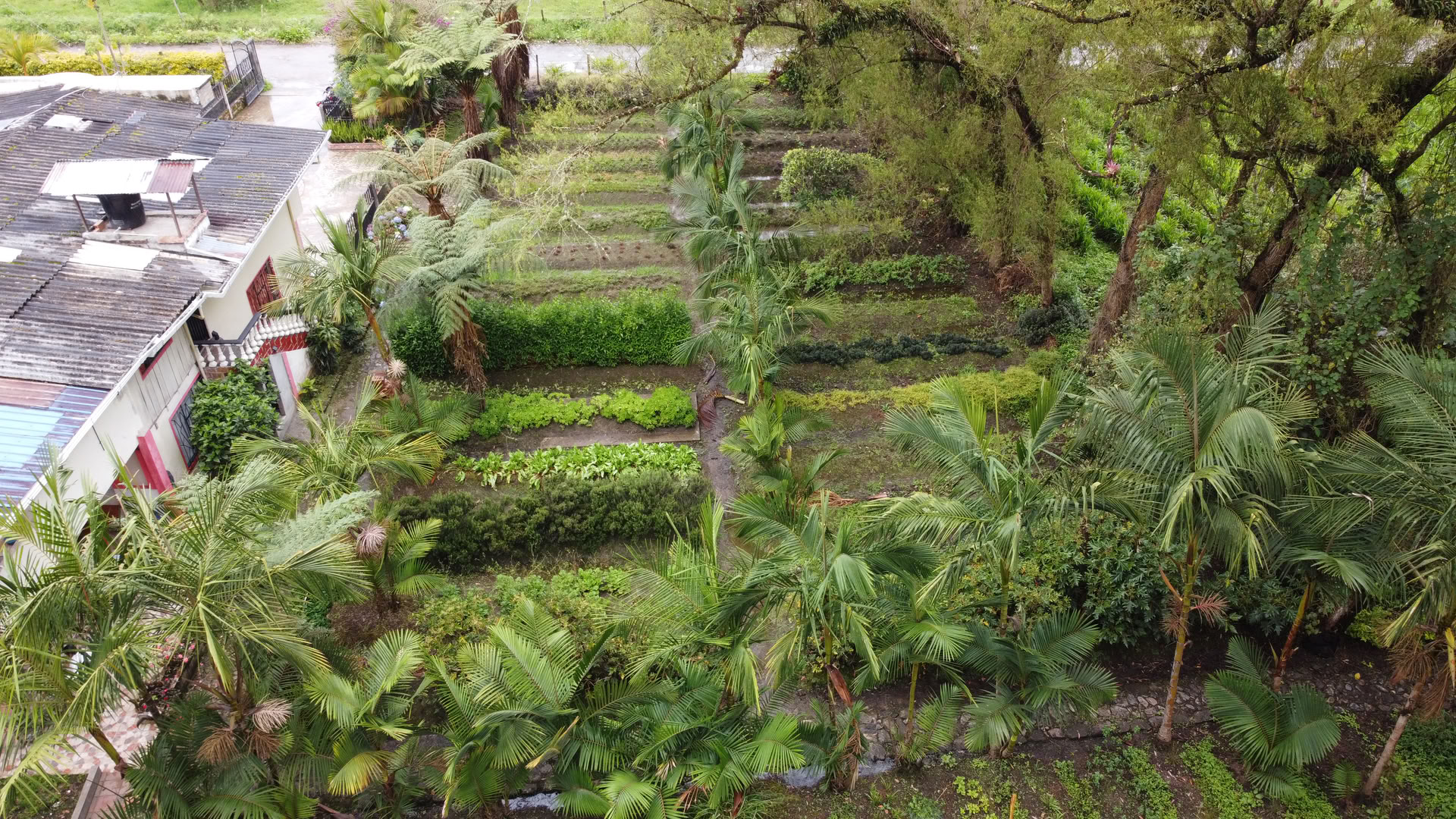 Sacred Ayahuasca Retreat in Santa Marta, Colombia