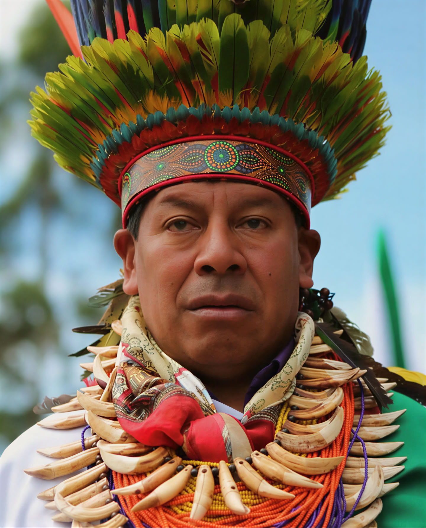Sacred Ayahuasca Retreat in Santa Marta, Colombia